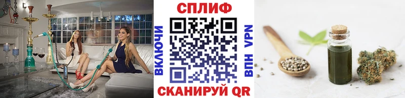 Бошки марихуана White Widow  Купить где  Новокубанск 